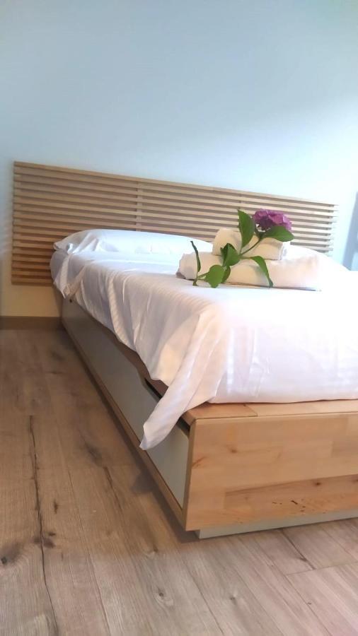 Green House Nest Levico Levico Terme Zewnętrze zdjęcie