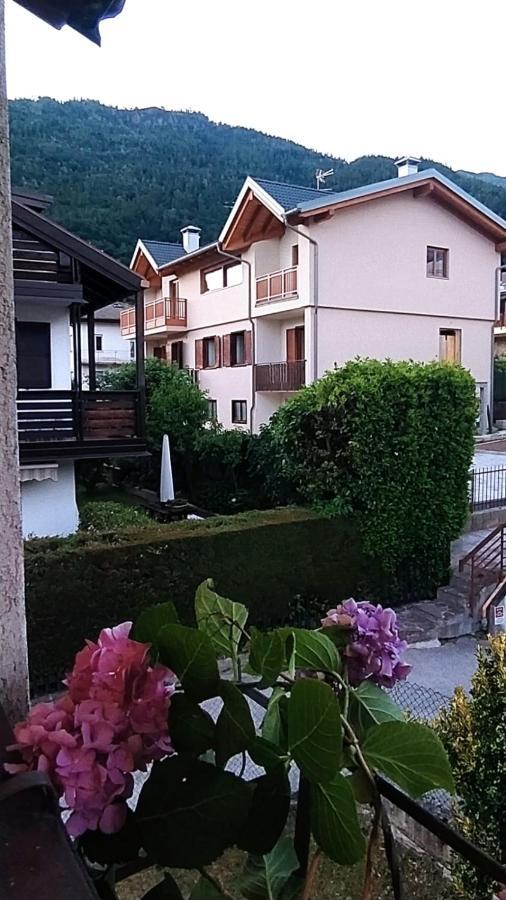 Green House Nest Levico Levico Terme Zewnętrze zdjęcie