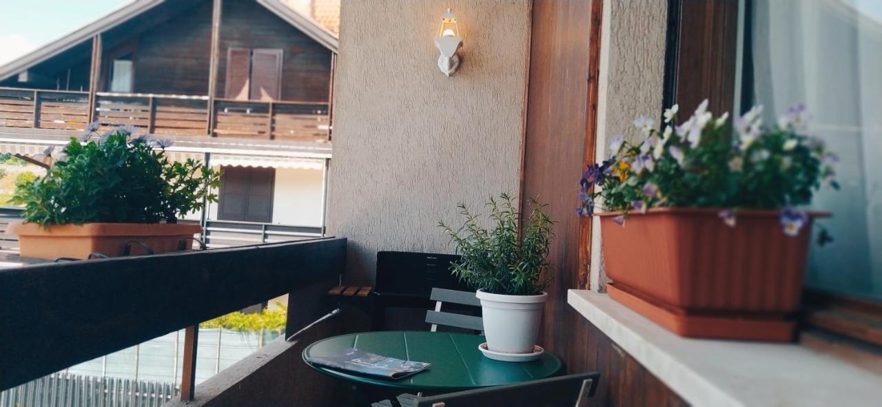 Green House Nest Levico Levico Terme Zewnętrze zdjęcie